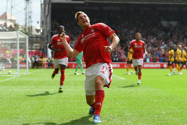 疑是一场情 疑是一场情