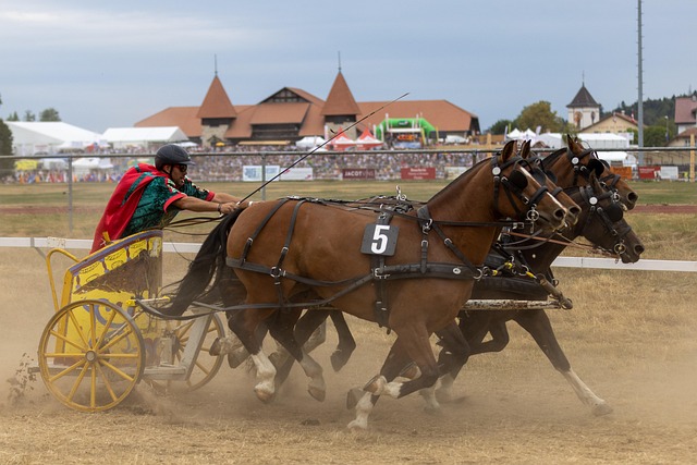 其技术流派 其技术流派